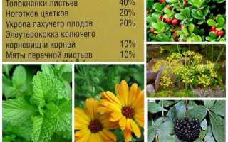 Урологический травяной чай при цистите