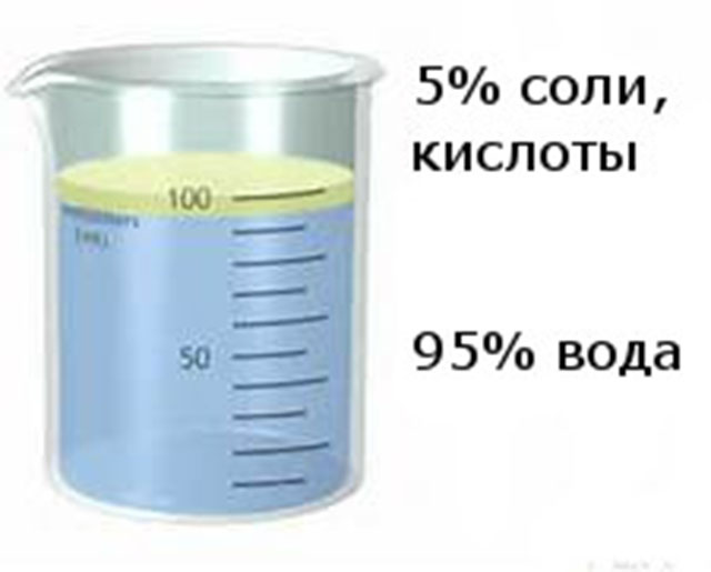 Описание образования и состава первичной и вторичной мочи