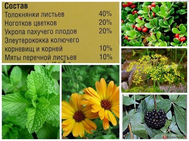 Состав